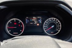 Isuzu DL20 Manual